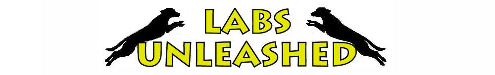 labs unleashed logo